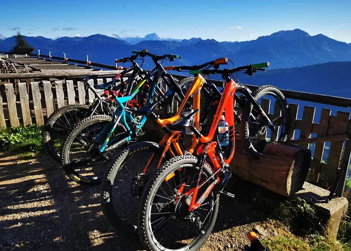 Apartament Premium Am *